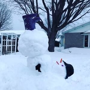 Meet your Posher, Janie